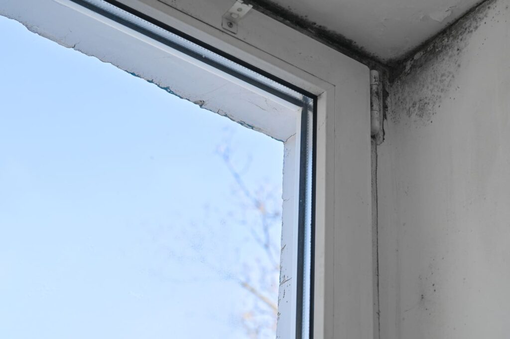 muffa_nell_angolo_della_finestra